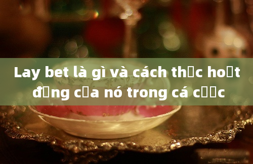 Lay bet là gì và cách thức hoạt động của nó trong cá cược