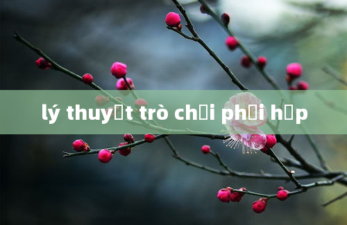 lý thuyết trò chơi phối hợp