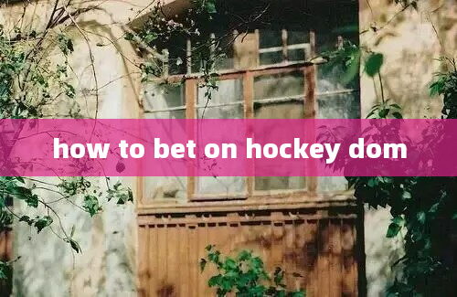 how to bet on hockey dom