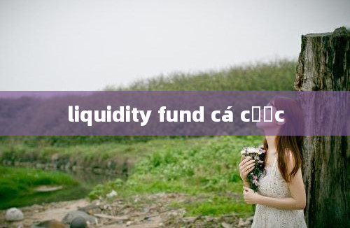 liquidity fund cá cược