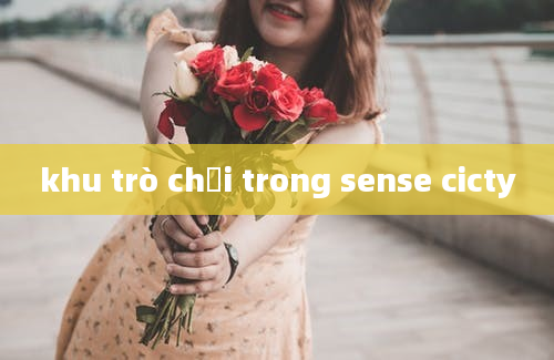 khu trò chơi trong sense cicty