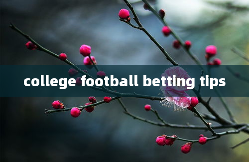 college football betting tips