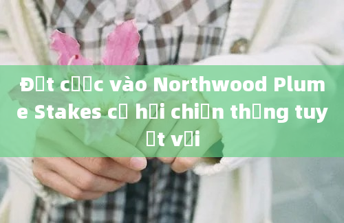 Đặt cược vào Northwood Plume Stakes cơ hội chiến thắng tuyệt vời