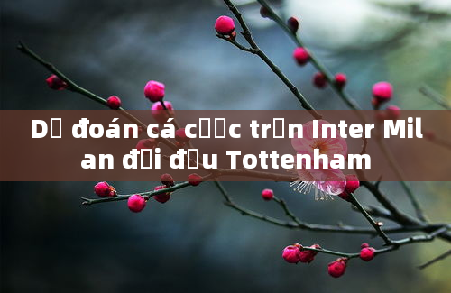 Dự đoán cá cược trận Inter Milan đối đầu Tottenham