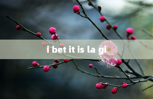 i bet it is la gi