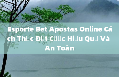 Esporte Bet Apostas Online Cách Thức Đặt Cược Hiệu Quả Và An Toàn