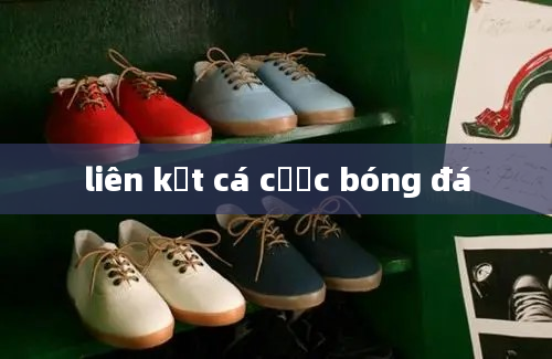 liên kết cá cược bóng đá