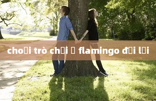 choơi trò chơi ở flamingo đại lải