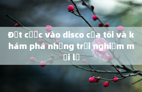 Đặt cược vào disco của tôi và khám phá những trải nghiệm mới lạ