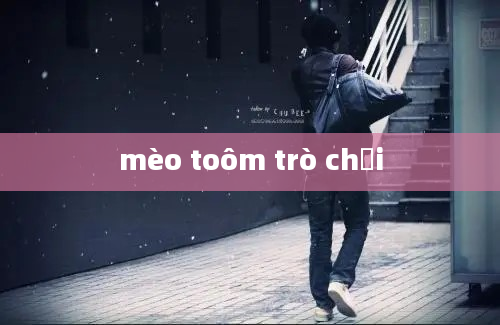 mèo toôm trò chơi