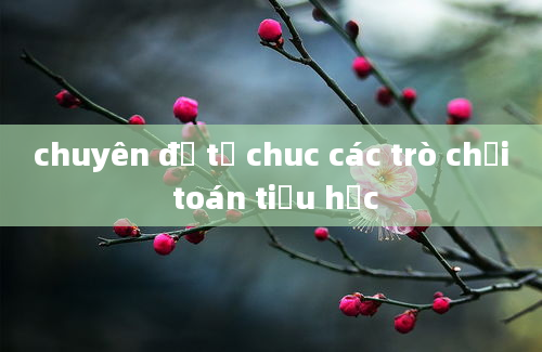 chuyên đề tổ chuc các trò chơi toán tiểu học