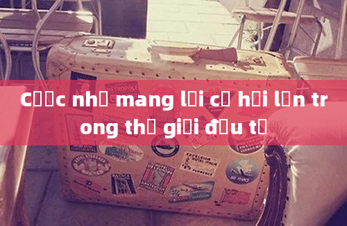 Cược nhỏ mang lại cơ hội lớn trong thế giới đầu tư