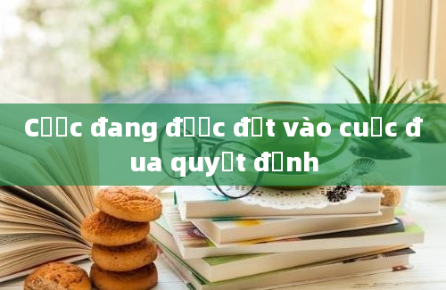 Cược đang được đặt vào cuộc đua quyết định