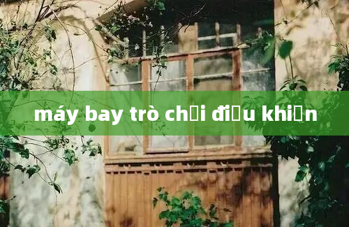 máy bay trò chơi điều khiển