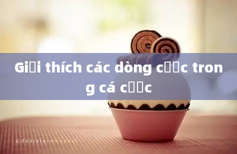 Giải thích các dòng cược trong cá cược