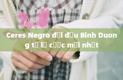 Ceres Negro đối đầu Binh Duong tỷ lệ cược mới nhất