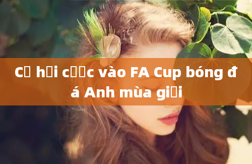 Cơ hội cược vào FA Cup bóng đá Anh mùa giải