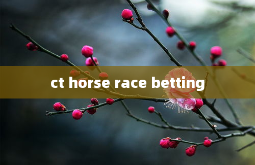 ct horse race betting