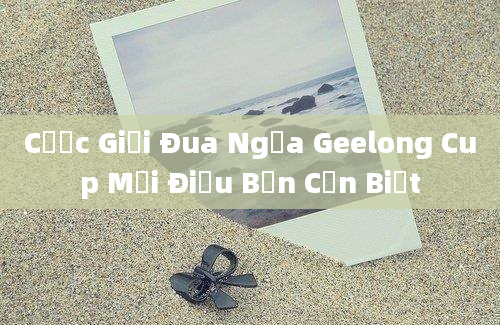 Cược Giải Đua Ngựa Geelong Cup Mọi Điều Bạn Cần Biết