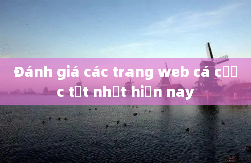 Đánh giá các trang web cá cược tốt nhất hiện nay