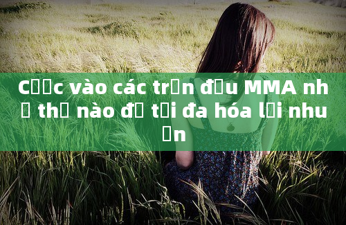 Cược vào các trận đấu MMA như thế nào để tối đa hóa lợi nhuận