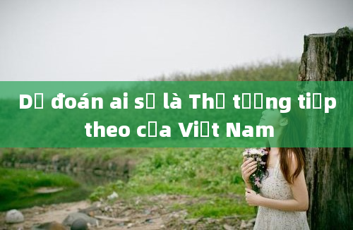 Dự đoán ai sẽ là Thủ tướng tiếp theo của Việt Nam