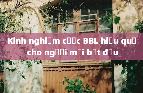 Kinh nghiệm cược BBL hiệu quả cho người mới bắt đầu