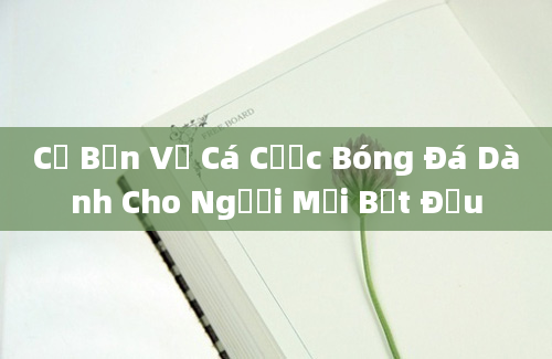 Cơ Bản Về Cá Cược Bóng Đá Dành Cho Người Mới Bắt Đầu