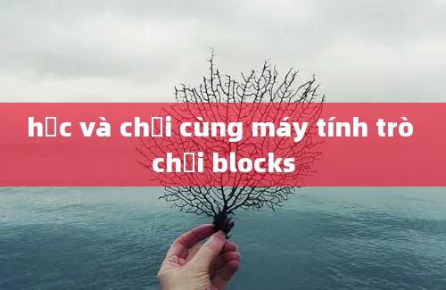 học và chơi cùng máy tính trò chơi blocks