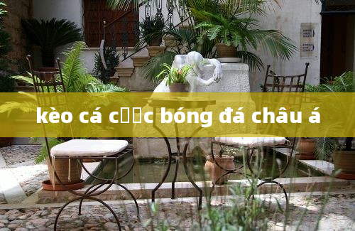 kèo cá cược bóng đá châu á