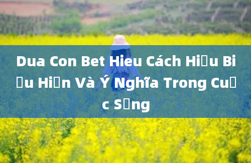 Dua Con Bet Hieu Cách Hiểu Biểu Hiện Và Ý Nghĩa Trong Cuộc Sống