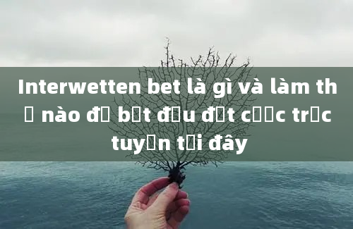 Interwetten bet là gì và làm thế nào để bắt đầu đặt cược trực tuyến tại đây