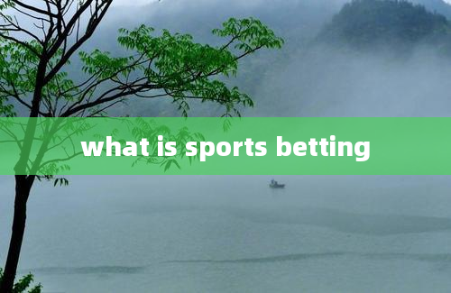 what is sports betting