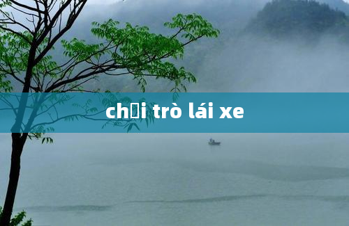 chơi trò lái xe