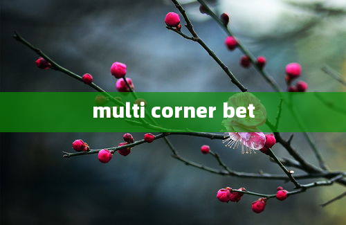 multi corner bet