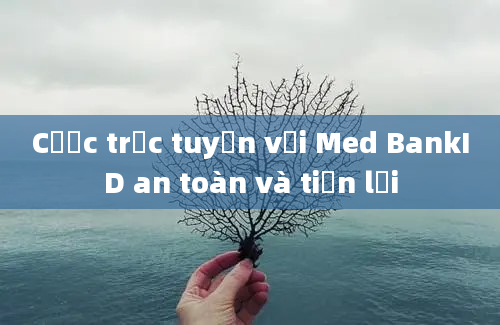 Cược trực tuyến với Med BankID an toàn và tiện lợi