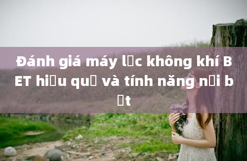 Đánh giá máy lọc không khí BET hiệu quả và tính năng nổi bật