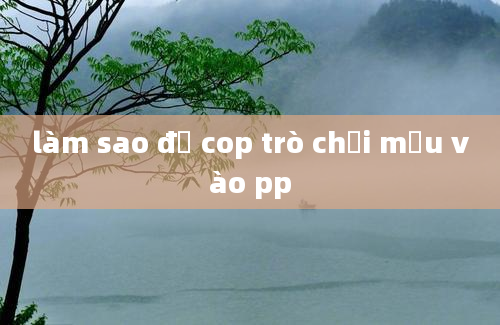 làm sao để cop trò chơi mẫu vào pp