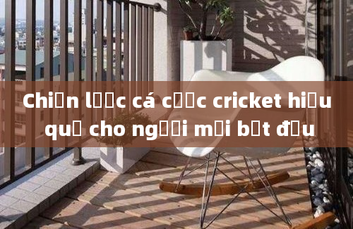 Chiến lược cá cược cricket hiệu quả cho người mới bắt đầu