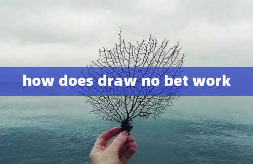 how does draw no bet work