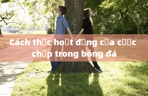 Cách thức hoạt động của cược chấp trong bóng đá