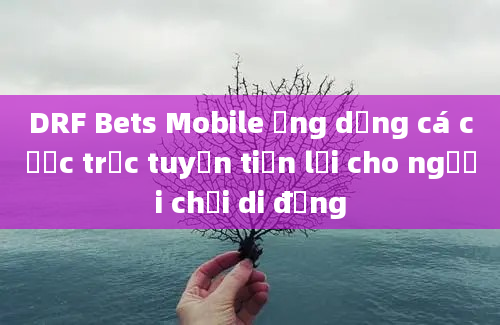 DRF Bets Mobile ứng dụng cá cược trực tuyến tiện lợi cho người chơi di động