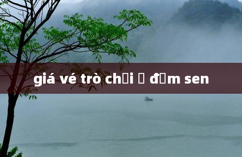 giá vé trò chơi ở đầm sen