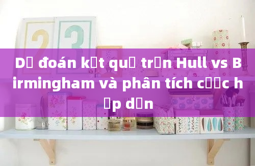 Dự đoán kết quả trận Hull vs Birmingham và phân tích cược hấp dẫn