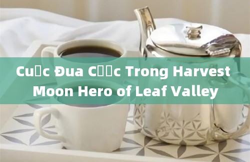 Cuộc Đua Cược Trong Harvest Moon Hero of Leaf Valley