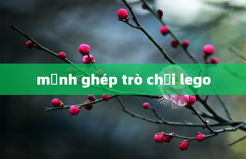 mảnh ghép trò chơi lego