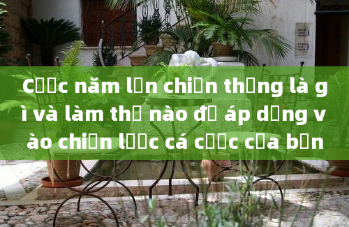 Cược năm lần chiến thắng là gì và làm thế nào để áp dụng vào chiến lược cá cược của bạn