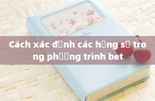 Cách xác định các hằng số trong phương trình bet