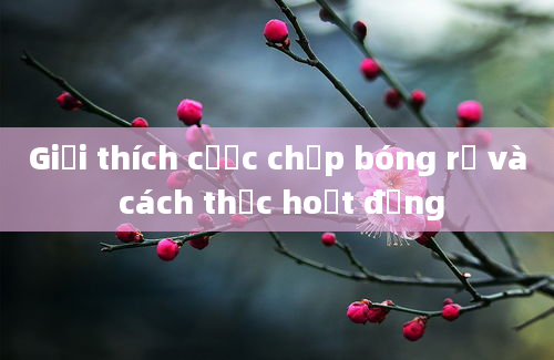 Giải thích cược chấp bóng rổ và cách thức hoạt động