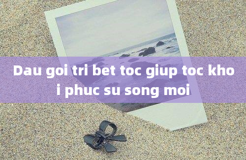 Dau goi tri bet toc giup toc khoi phuc su song moi